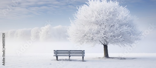 White winter landscape with a bench With copyspace for text photo