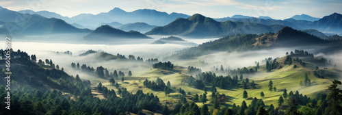 Mystical mysterious fog over the forest tops with a view of the mountains at dawn, banner