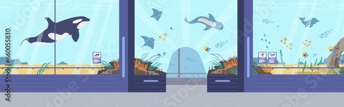 Oceanarium, marine flora and fauna vector illustration, underwater and sea animals variety, cartoon ocean fishes