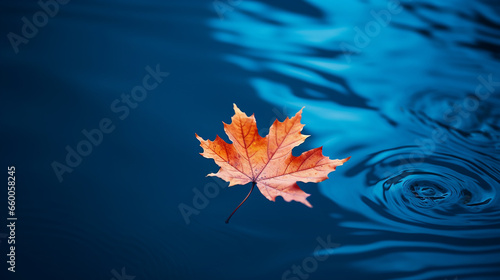 Autumn maple leaf on water surface with ripples. Copy space.