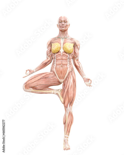 female swole muscle maps on one foot in the ground yoga pose