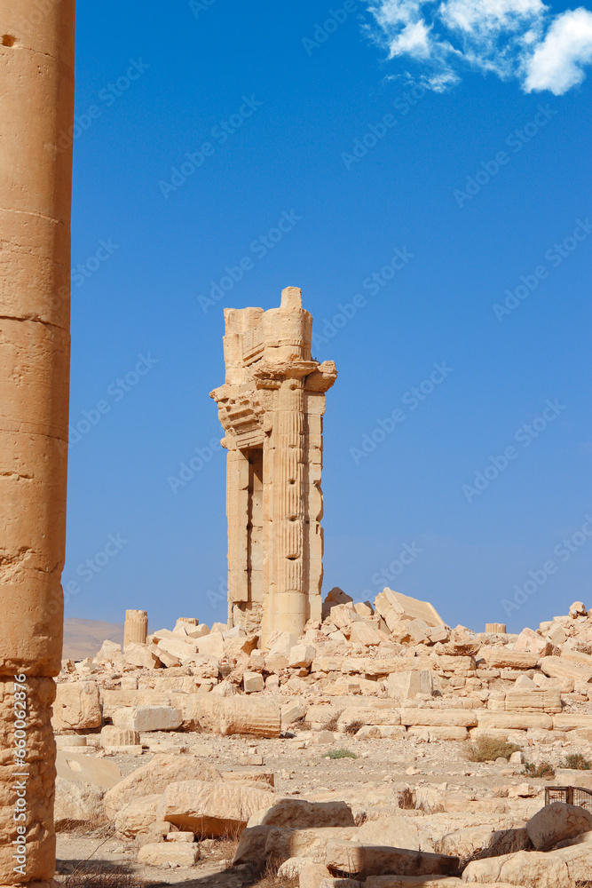 Ruins of the city of Palmyra in Syria