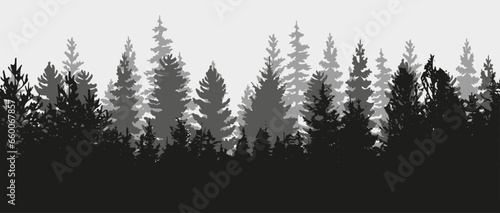 Spruce tree silhouette. Pine tree silhouette