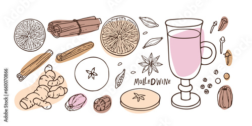 Christmas alcoholic drinking. Mulled wine ingredients set. Fruit mulled wine recipe. Doodle Outline vector illustration. Hot winter drink recipe. Organic product sketch. Flavor cooking ingredient
