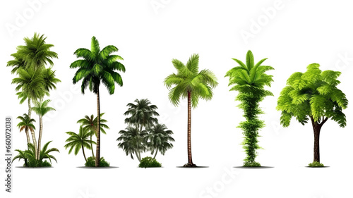 set tree tropical isolated on transparent background