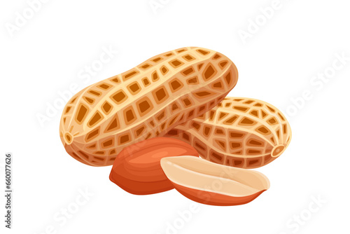 variety of peanuts Raw shelled peanuts of different shapes stand vertically isolated on white background.