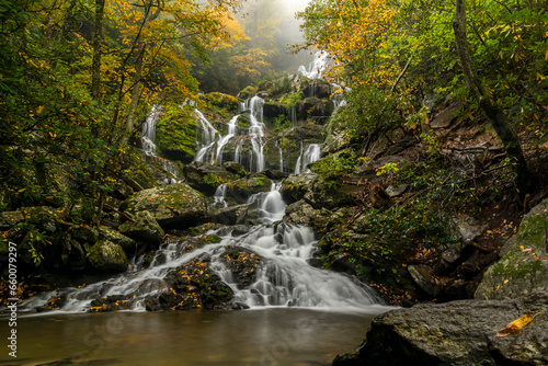 Fototapeta Naklejka Na Ścianę i Meble -  waterfall in autumn with fall foliage
