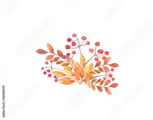 Watercolor autumn composition of leaves with a rowan branch, autumn branch with red berries, isolated on a white background