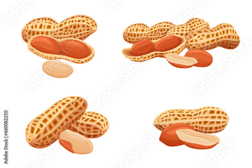 variety of peanuts Raw shelled peanuts of different shapes stand vertically isolated on white background.