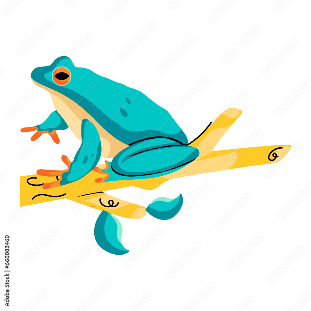 Fototapeta premium Tree Frog 