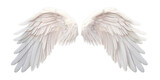 White angel wings isolated on transparent background PNG