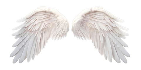 White angel wings isolated on transparent background PNG