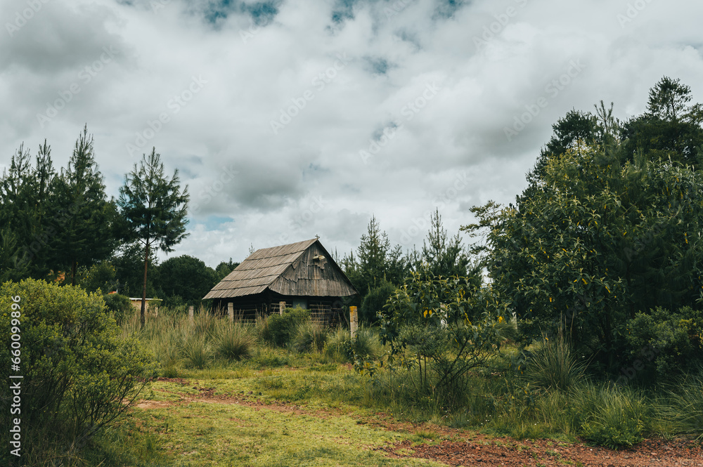 Wooden cabin in the middle of the forest, with an old style, surrounded by trees. Wooden cabin in the middle of the forest, with an old style, surrounded by trees.