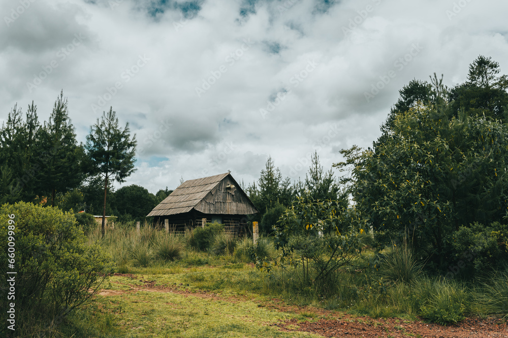 Wooden cabin in the middle of the forest, with an old style, surrounded by trees.