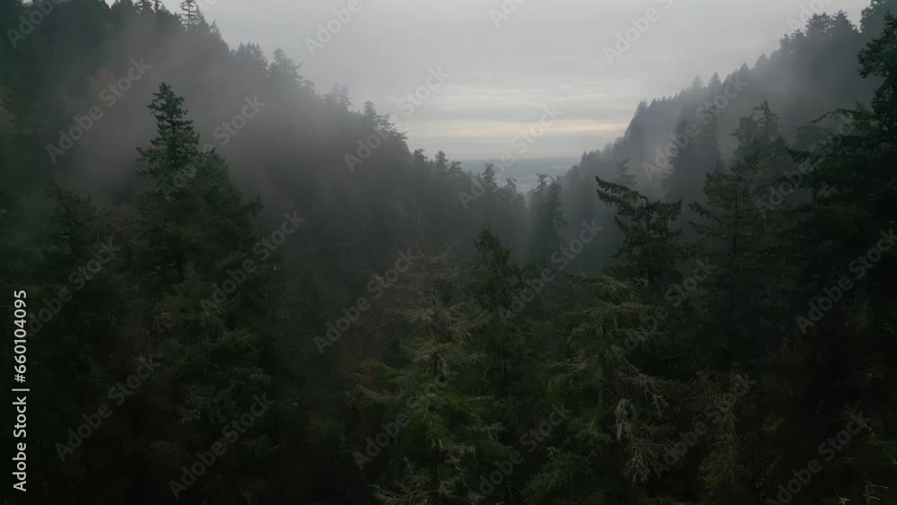 Aerial wide shot of Rainy weather in mountains. Fog blowing over pine tree forest. Aerial wide shot of Rainy weather in mountains. Fog blowing over pine tree forest.