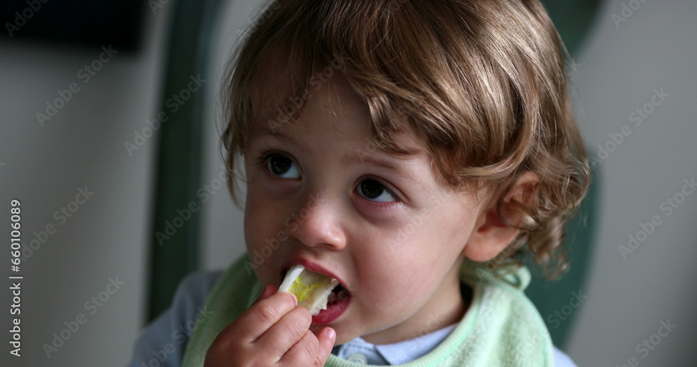Child eating celery. Cute toddler boy eats healthy vegetable snack Child eating celery. Cute toddler boy eats healthy vegetable snack