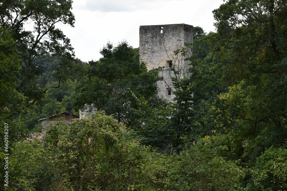 Fototapeta premium Burgruine Grub, Österreich, 14.09.2023