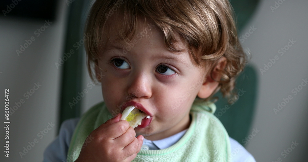 Child eating celery. Cute toddler boy eats healthy vegetable snack Child eating celery. Cute toddler boy eats healthy vegetable snack