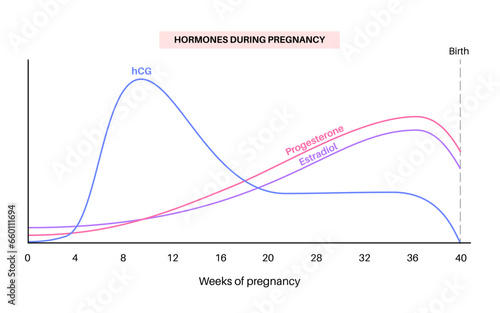 Hormones in pregnancy