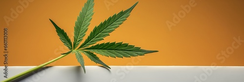 Marijuana leaf composition on a bright background. CBD Oil or hemp procuct ad, blogpost or print. photo