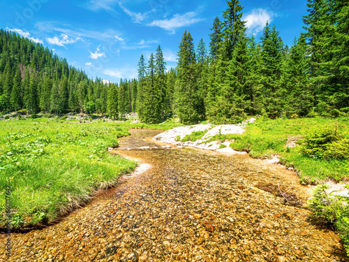 Wallpaper Mural Lonely Hike through the Berchtesgaden green nature  Torontodigital.ca