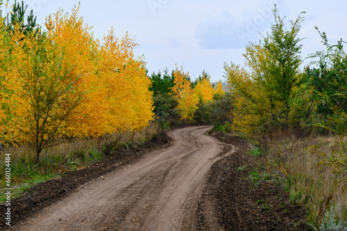 Autumn landscape, road through autumn forest.
