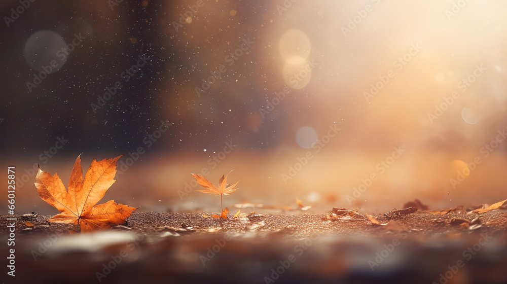 autumn leaf background with copypace