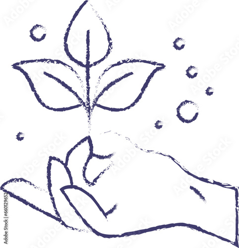 Herbal hand drawn vector illustration