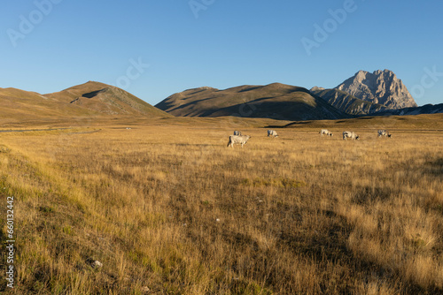 Gran Sasso at sunrise