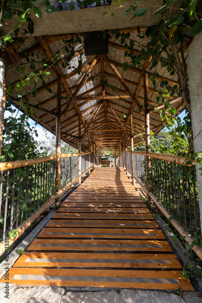 Wooden bridge in the José Celestino Mutis botanical garden. Bogota, Colombia. Wooden bridge in the José Celestino Mutis botanical garden. Bogota, Colombia.