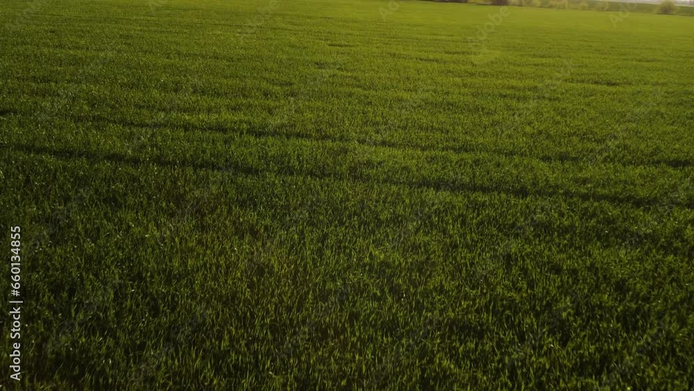 Aerial view of the green fields and landscape. Agricultural view on a summer day. Aerial view of the green fields and landscape. Agricultural view on a summer day.