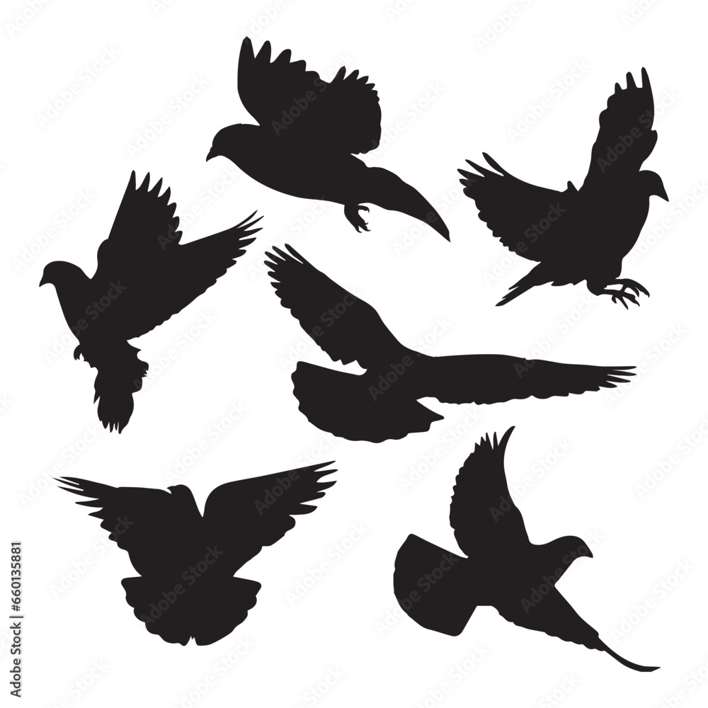 Obraz premium Pigeon Silhouette Vector Illustration