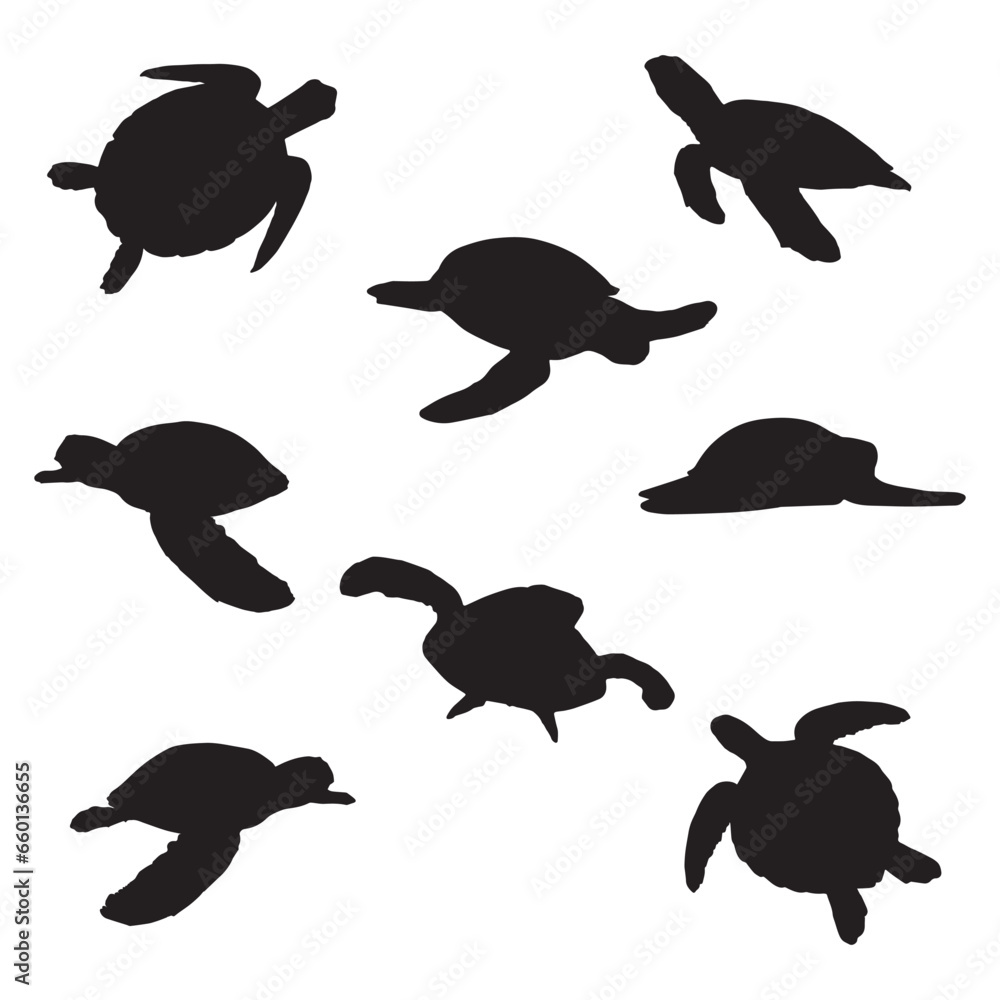 Obraz premium Sea Turtle Vector Silhouette