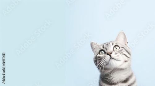 Cute gray tabby cat on light blue background space © Yzid ART