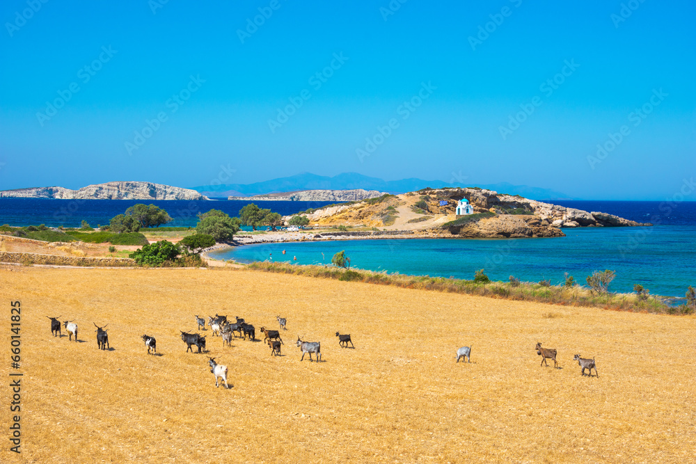 Picturesque rural landscape of Lipsi island, Dodecanese, Greece - obrazy, fototapety, plakaty 