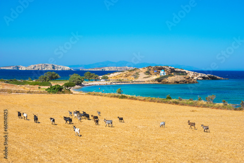 Picturesque rural landscape of Lipsi island, Dodecanese, Greece photo