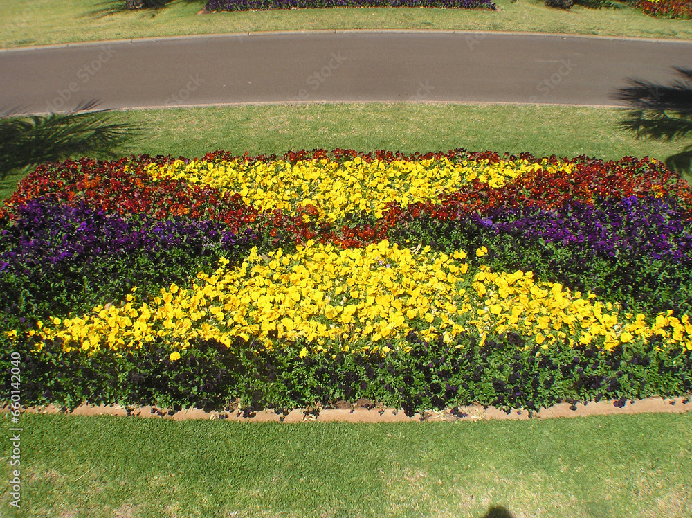 Obraz premium flower bed