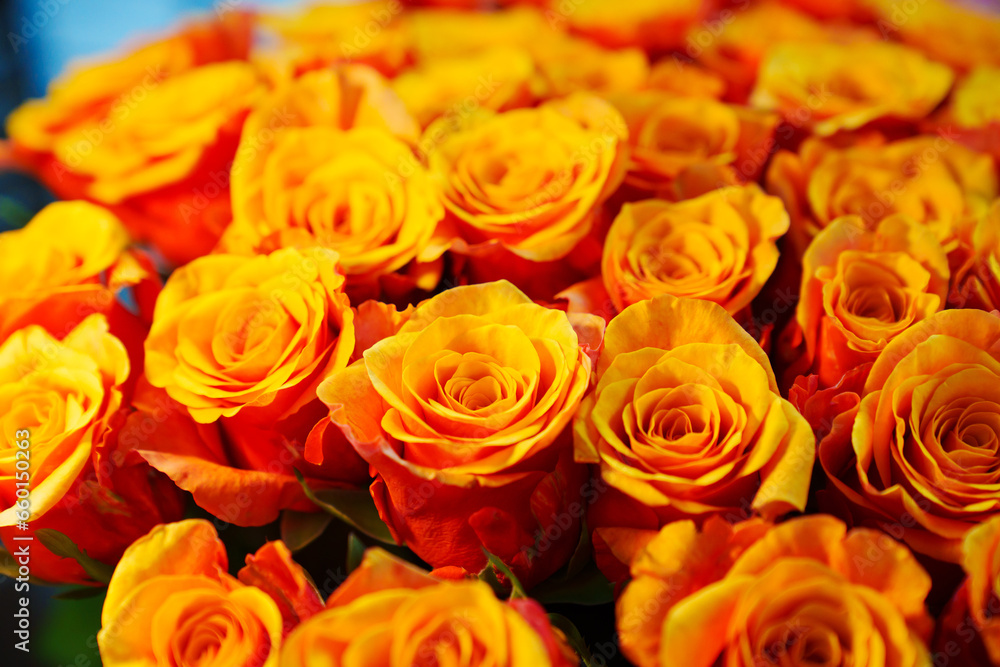 Large and beautiful bouquet of orange yellow roses. Large and beautiful bouquet of orange yellow roses.