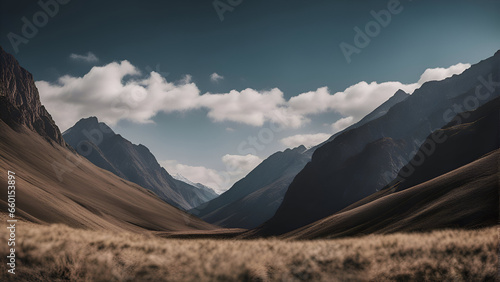 Beautiful mountain landscape with blue sky and clouds. Panoramic view © Waqar