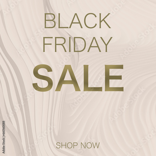 Black Friday Sale banner. Gold letters on the pink background. 
