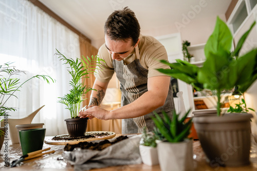 man gardener florist take care grow cultivate plants at home