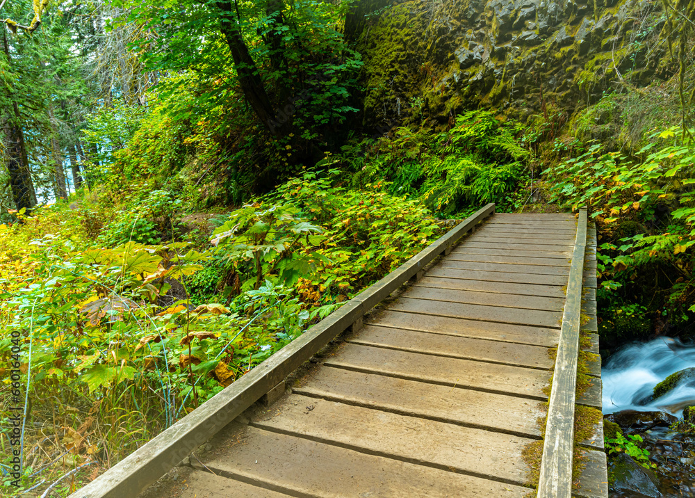 Wooden Bridge Crossing Over Cascades In The Forest on Wahkeena Creek, Columbia River Gorge, Oregon, USA Wooden Bridge Crossing Over Cascades In The Forest on Wahkeena Creek, Columbia River Gorge, Oregon, USA