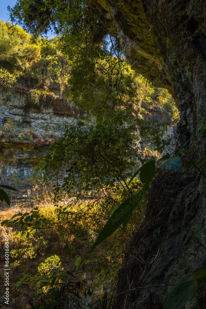 cañon lleno de arboles con un rio en medio visto de arriba cañon lleno de arboles con un rio en medio visto de arriba