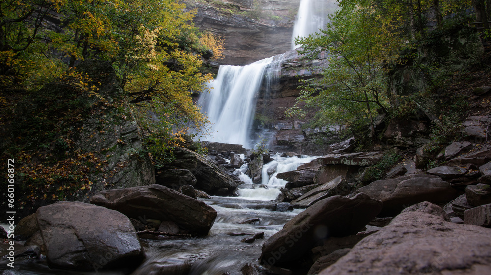 Obraz premium Waterfall in the woods 