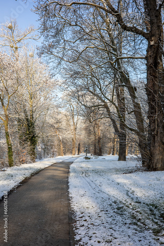 Snow on trees and ground in a park with a footpath in the sun in wintertime © jokuephotography
