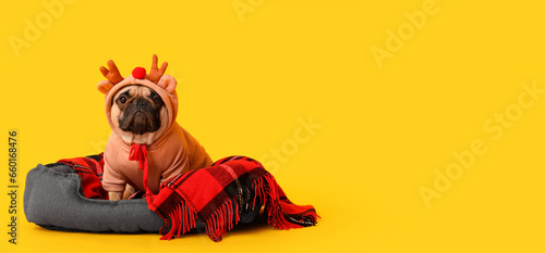 Cute dog with reindeer antl...
