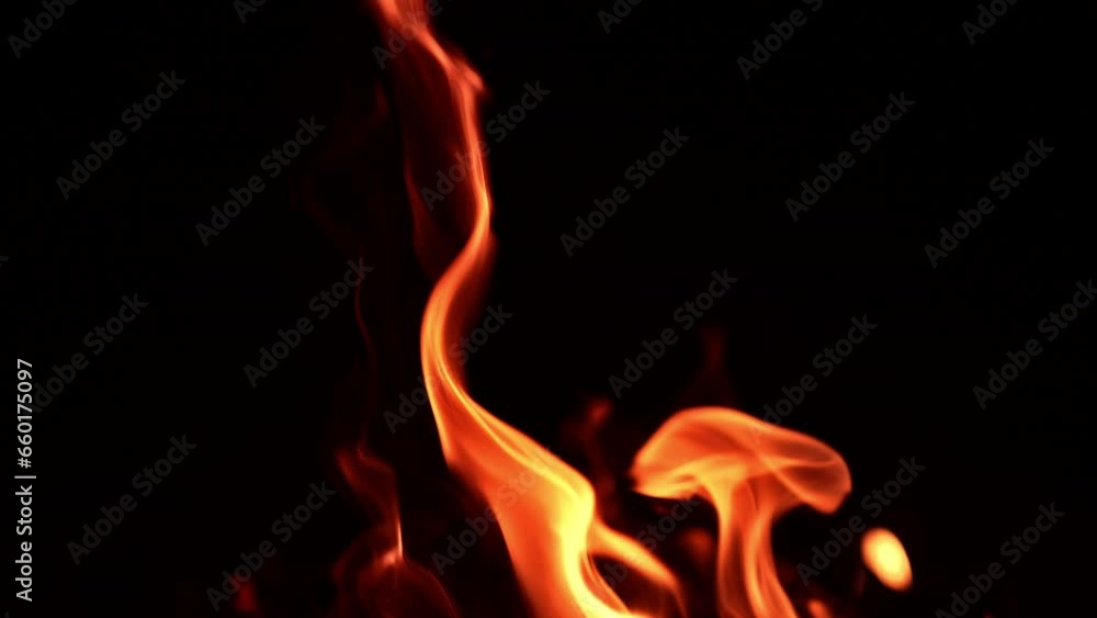Long tongues of flame licking the darkness. Isolated campfire burning. Close up. Long tongues of flame licking the darkness. Isolated campfire burning. Close up.