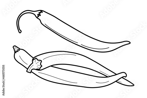 Set of Outline drawing of hot chili peppers. Mexican national spicy. Design for coloring book page
