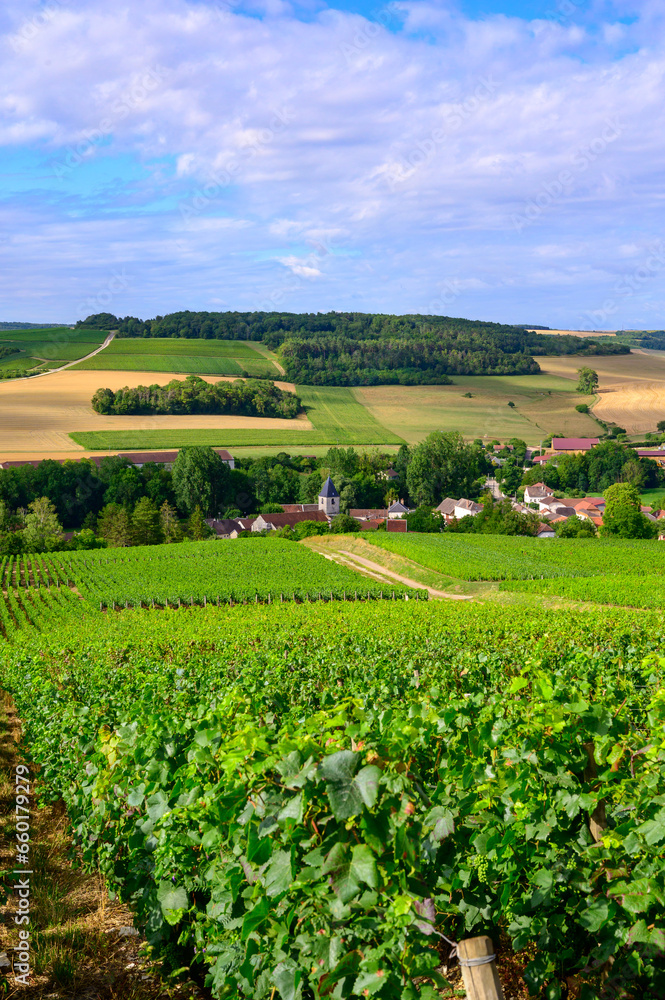 Hills with vineyards in Urville, champagne vineyards in Cote des Bar, Aube, south of Champange, France