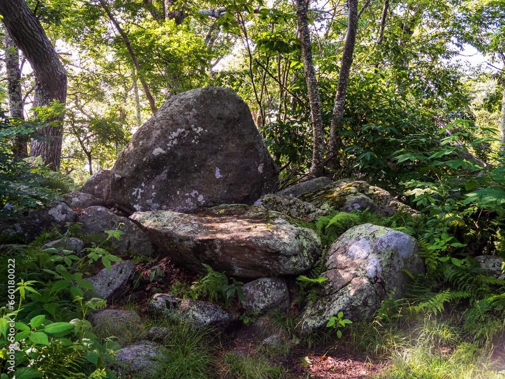Rocks along a hiking path forming a natural chair for resting in Shenandoah National Park, Virginia, USA. Rocks along a hiking path forming a natural chair for resting in Shenandoah National Park, Virginia, USA.